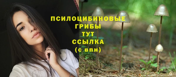 крисы Нея