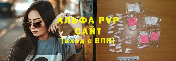 шишки Надым