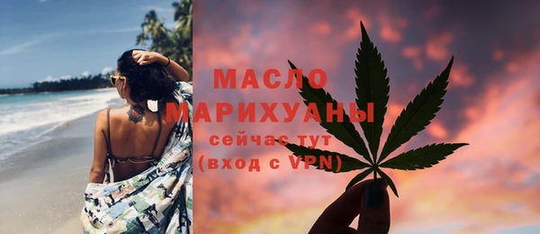 шишки Надым
