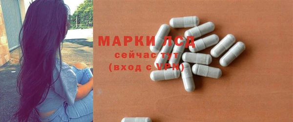 шишки Надым