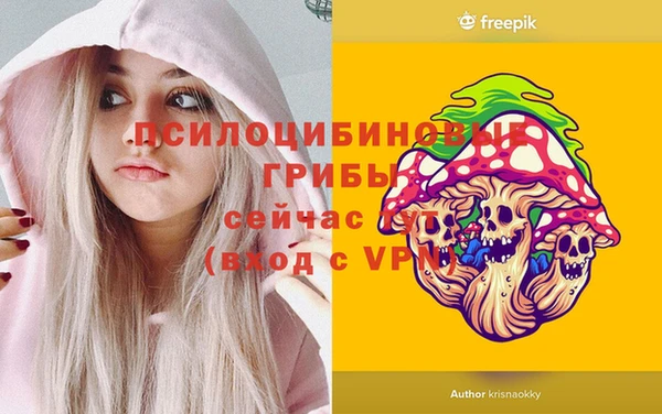 гашик Наволоки