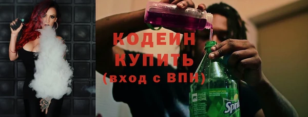 шишки Надым