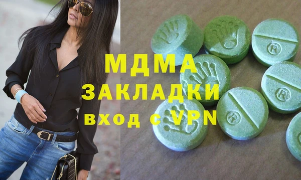 шишки Надым