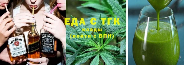 шишки Надым