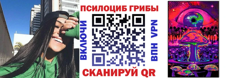 Псилоцибиновые грибы Psilocybe  blacksprut рабочий сайт  Калтан 